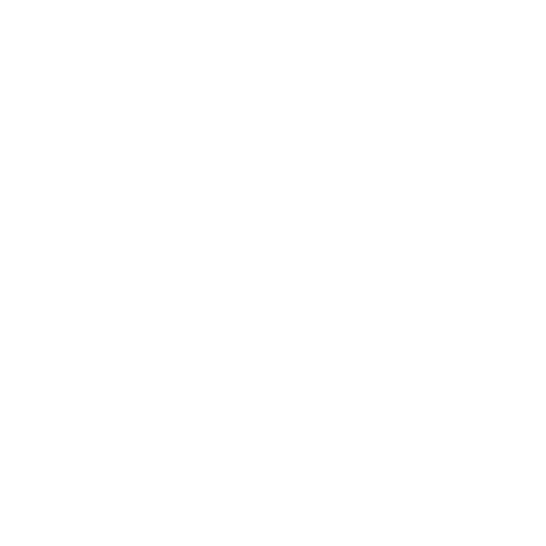 Why Choose Theme-Plugin.net