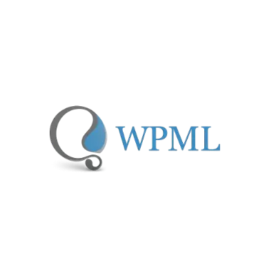 WordPress Multilingual Plugin